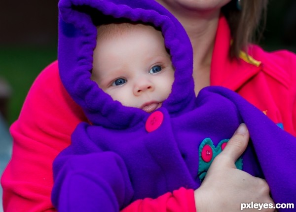 Big Purple Jacket