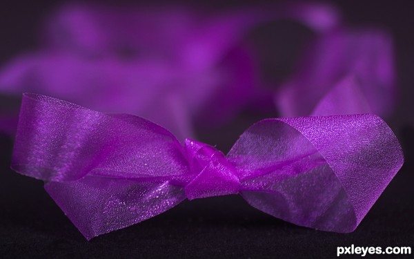 Purple bow