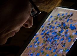 Digital Puzzle