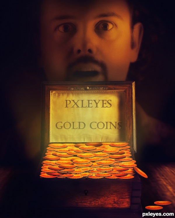 PxLeYeS 10g Gold Coins