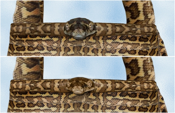 Creation of Snakeskin Handbag: Step 16