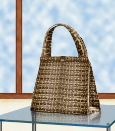 Snakeskin Handbag