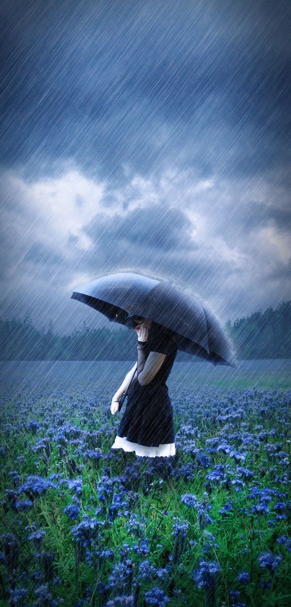 Rain photoshop picture