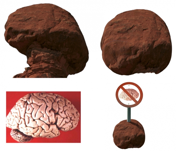 Creation of Intelligent life?: Step 4