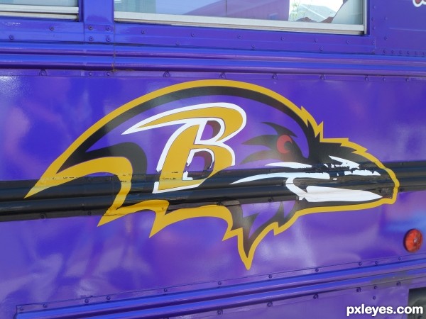 Ravens