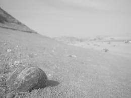 a lonely Rock Picture