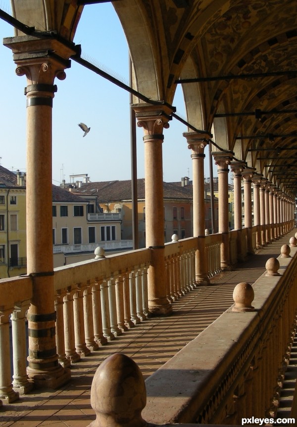 Palazzo della Ragione in Padua