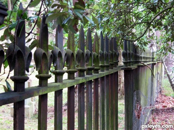 Mould on Railings