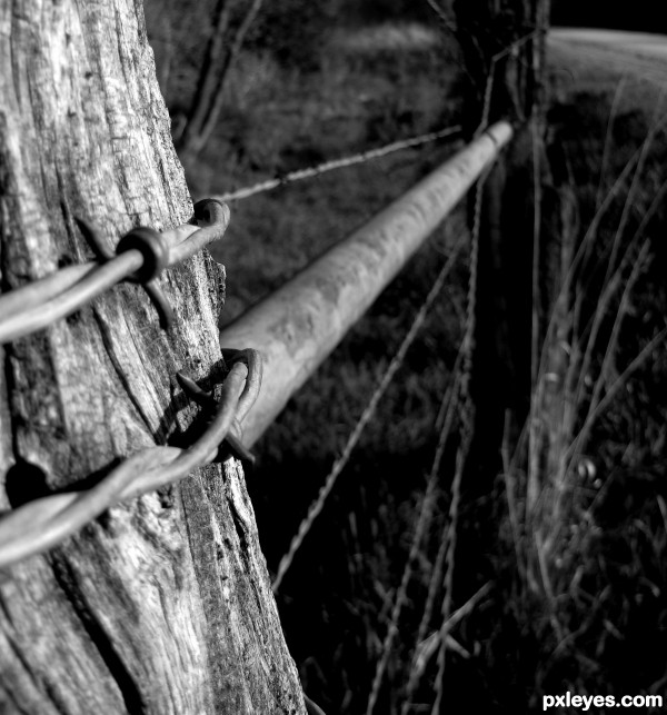 rural railings