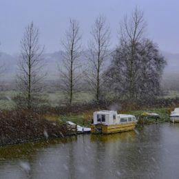DownbytheRiverinRain