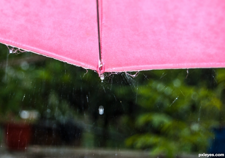 Pink umbrella