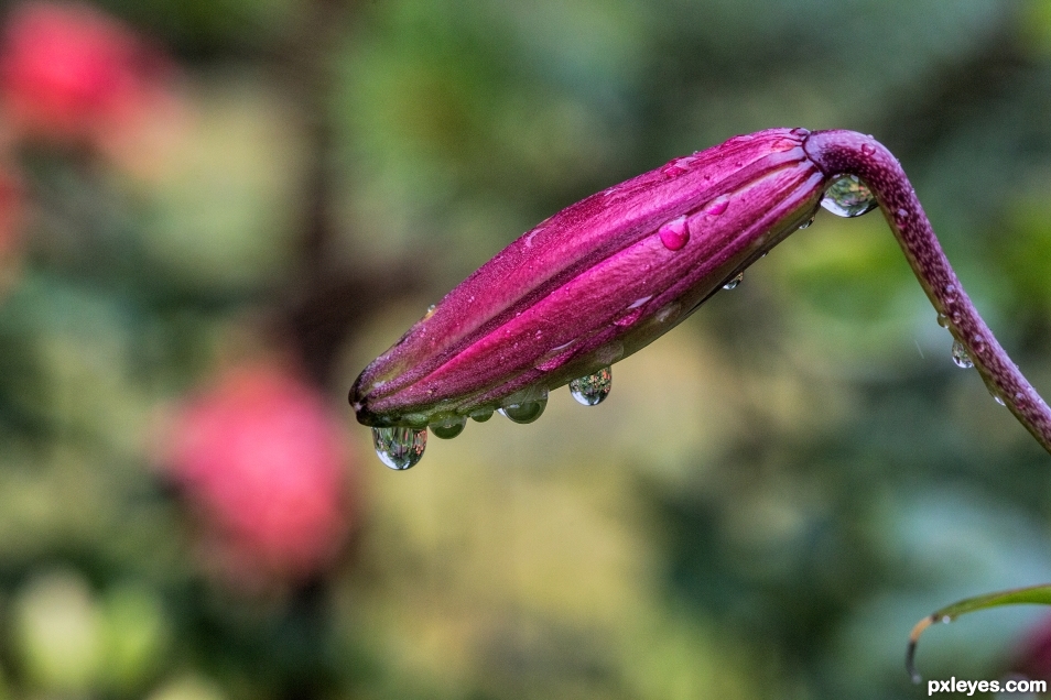 Standing in the Rain