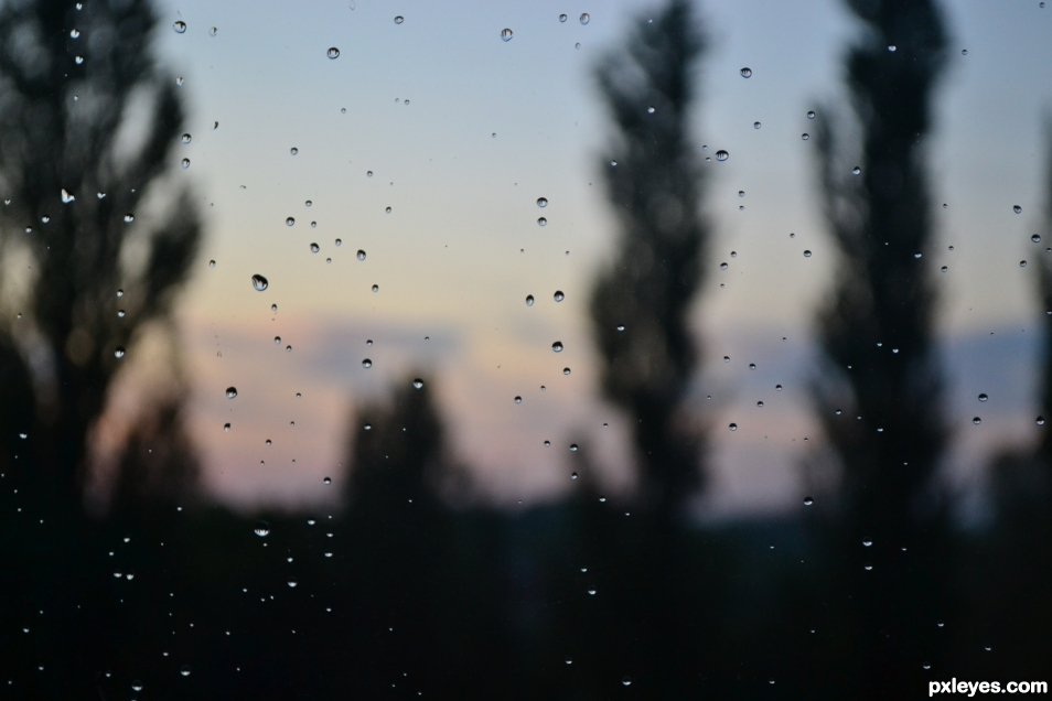 rain drops