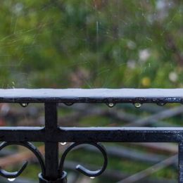Rainingmorning