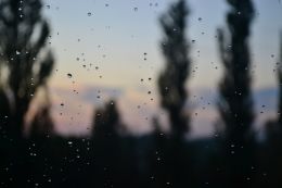 rain drops