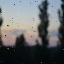 raindrops