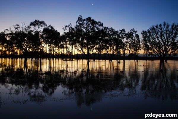 flooded paddock