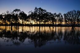 flooded paddock