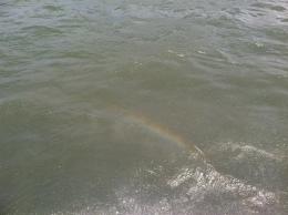 Rainbow in water Picture