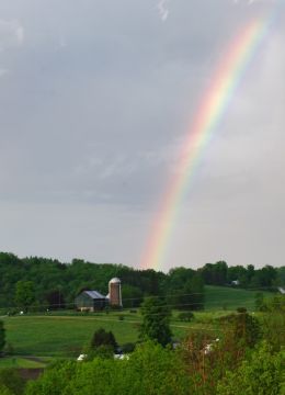 Farmland