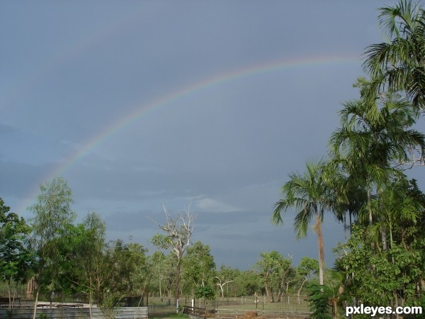 After the Rain