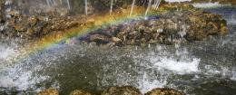 Fountainbow