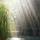 rainy weather photography contest