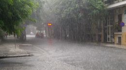 rainfall 