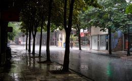 Wet street