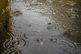 raining on the street