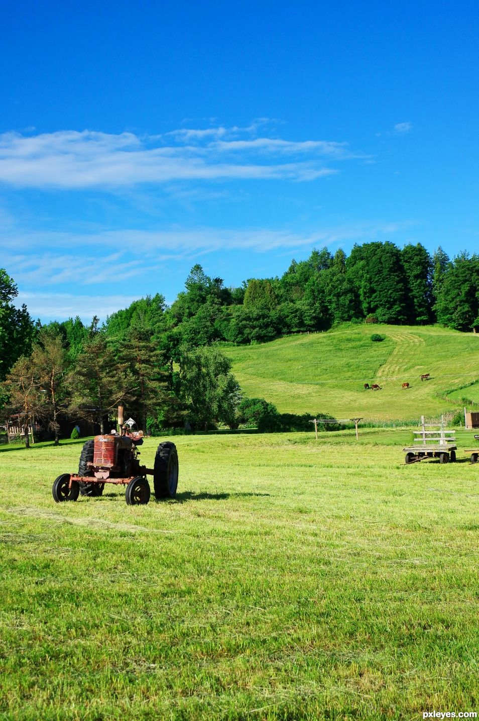 Hillside Farm