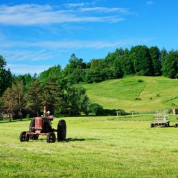 HillsideFarm