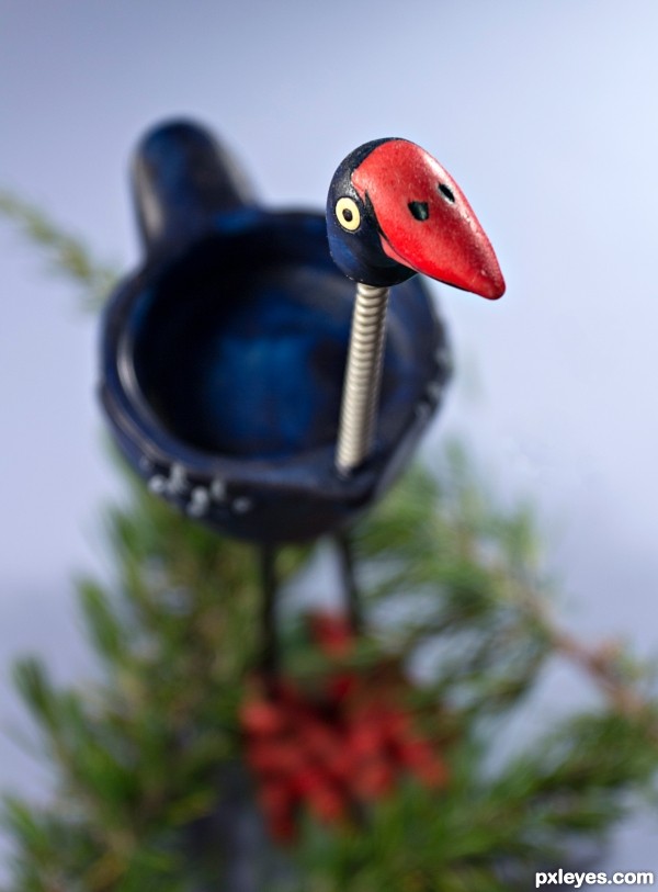 Pukeko