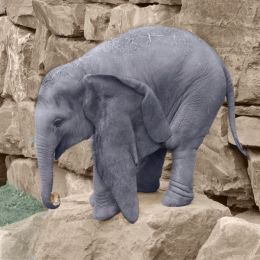 dumboandhisfriendmouse