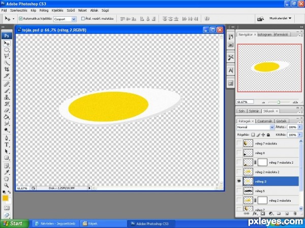 Creation of Eggs: Step 5