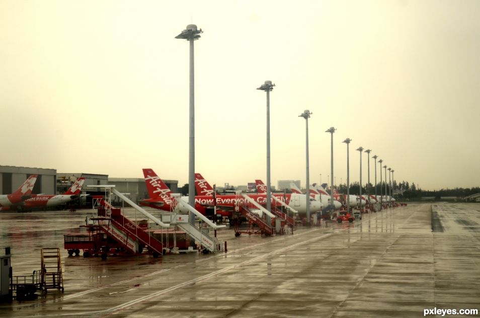 Red birds parking