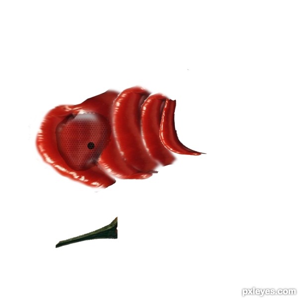 Creation of snake: Step 4