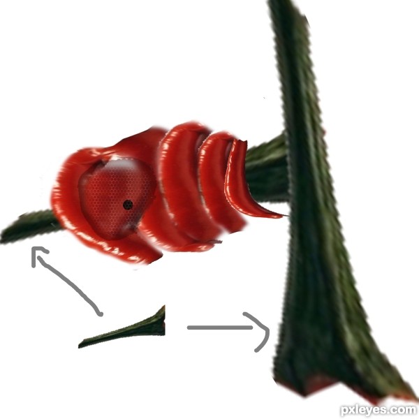 Creation of snake: Step 5