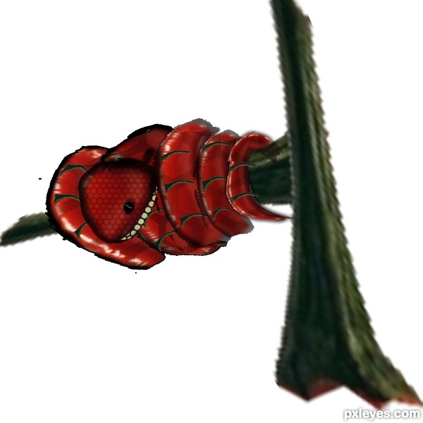 Creation of snake: Step 6