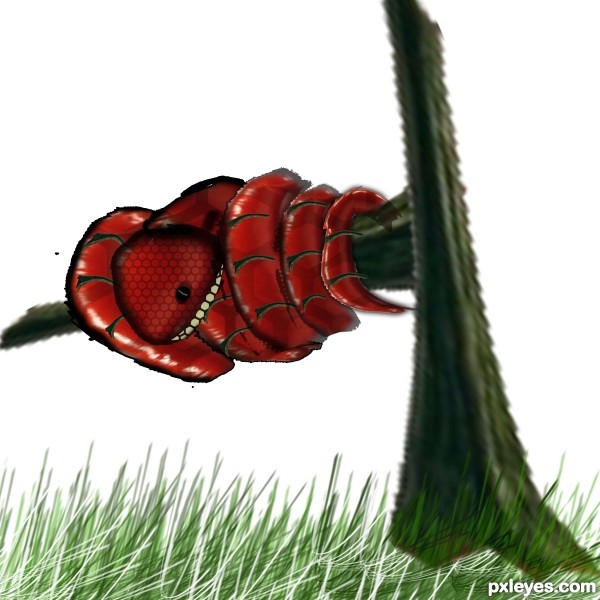 Creation of snake: Step 7