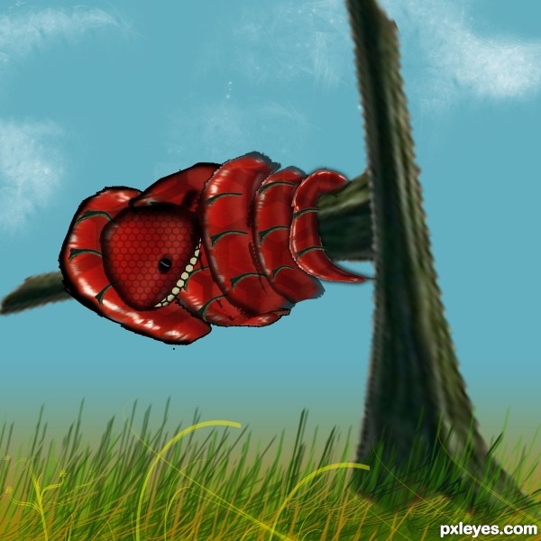 Creation of snake: Step 9