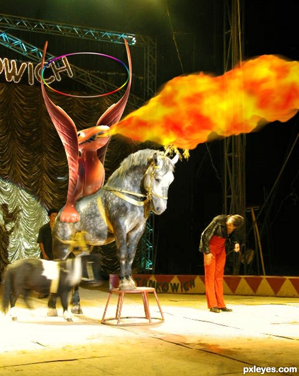 Dragon circus