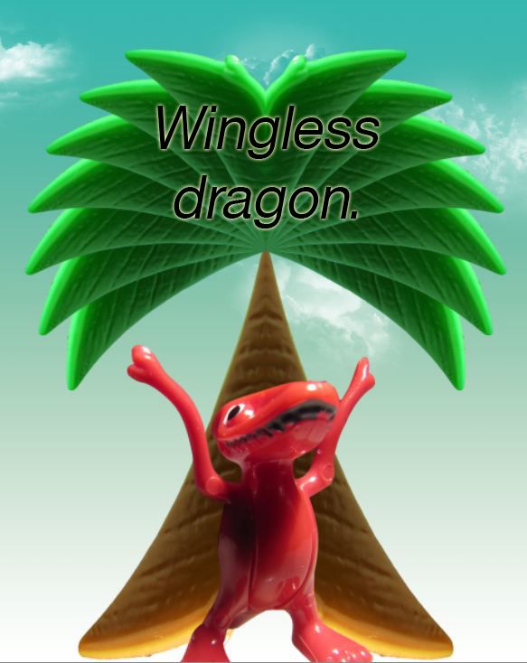 Creation of Dragonland: Step 7