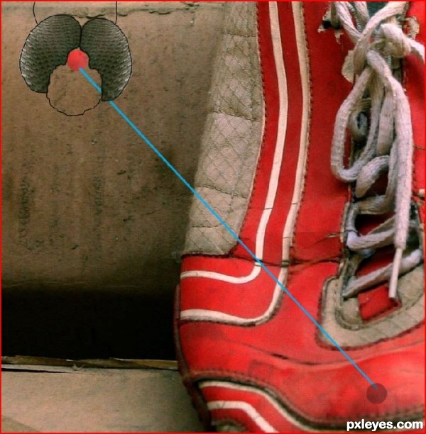 Creation of Red Dragonfly: Step 4