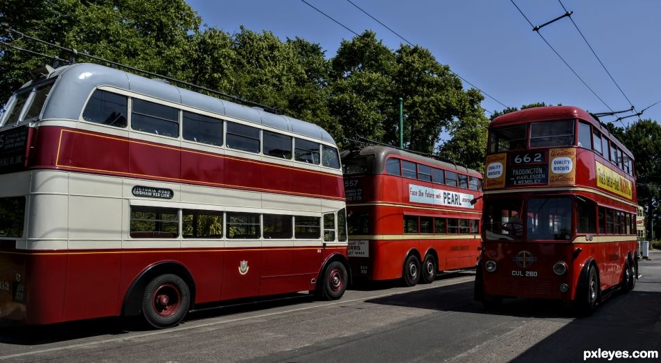 Old Buses