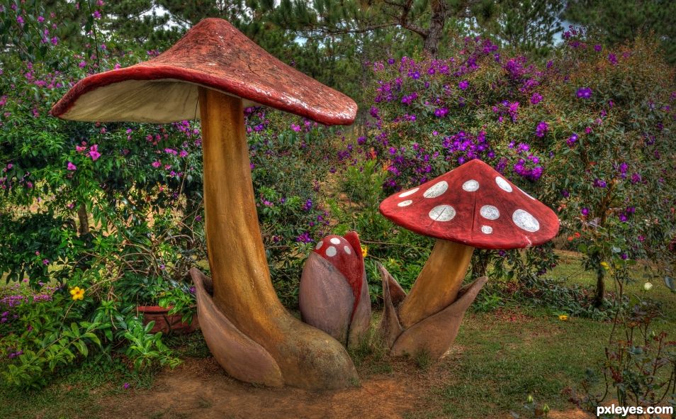 Red and White Fungi