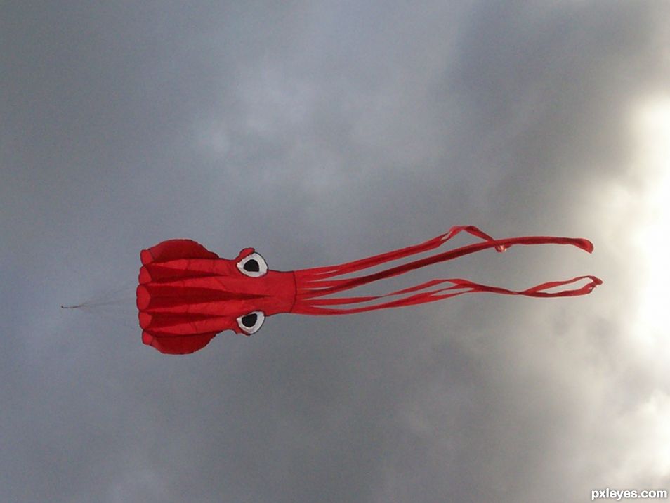 Red kite