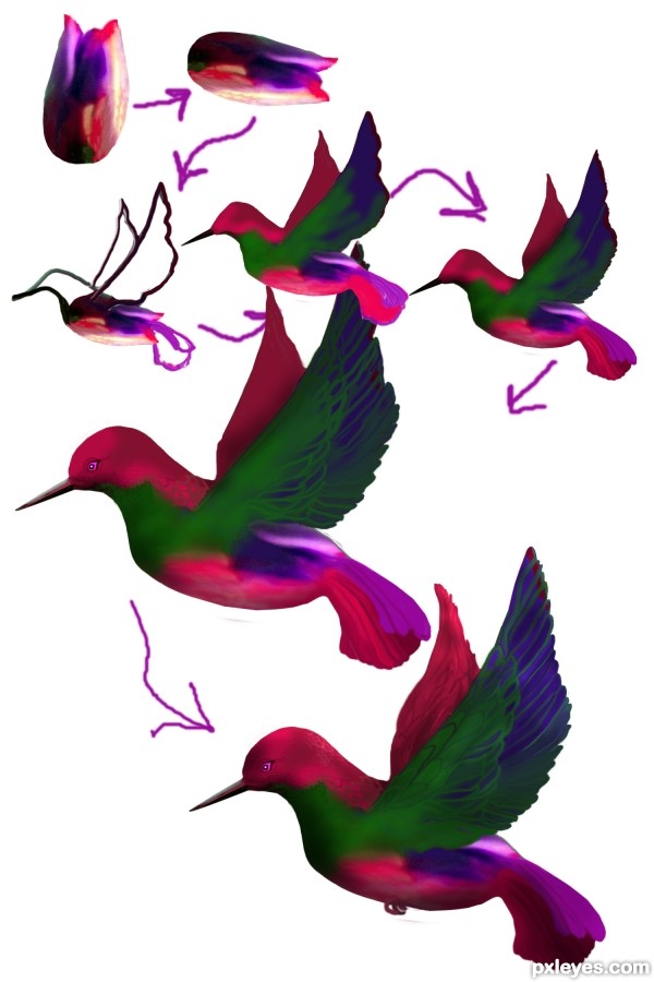 Creation of A New Twist: Step 4
