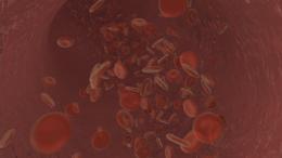 Blood Cells with Particle
