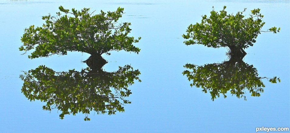 water mirror